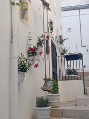 Appartamento Monte Sant'Angelo (FG) CENTRO STORICO, COMUNE