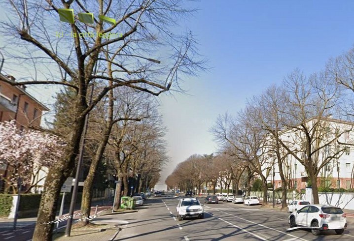 Parma